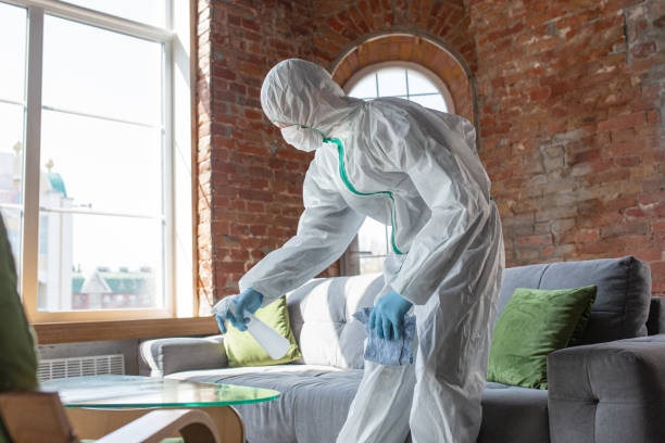 Best Emergency Mold Remediation  in Roaring Spring, PA